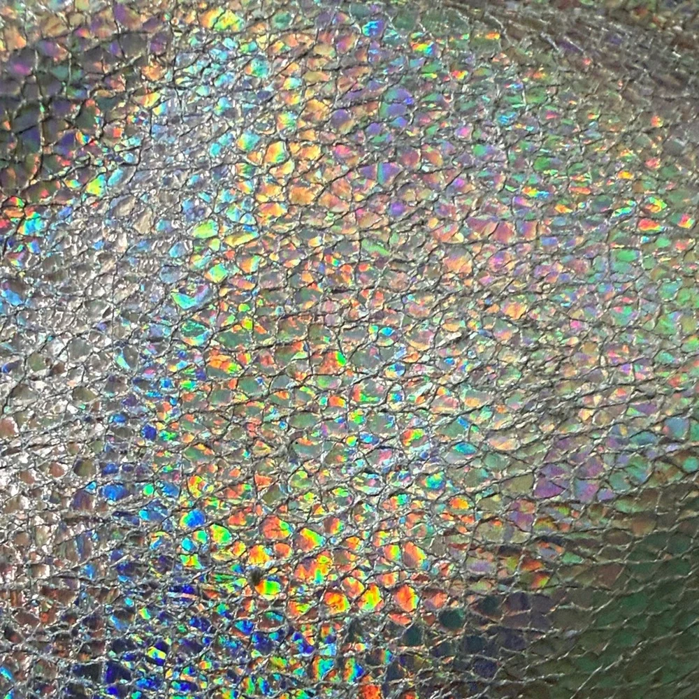 Holographic glittery Cosmetic Bag with Double Zipper